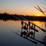 11012967_942202712496752_518364114964292145_o