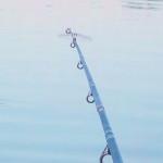 11411895_942202379163452_7339149997725186916_o