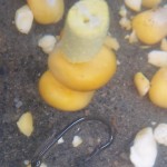 11696350_942204369163253_667716110742218822_o