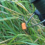 11698997_942202785830078_1466481243434523135_o