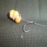 11713721_942204785829878_3821285126700345575_o