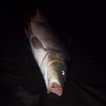 11732042_942202305830126_3110684058390749436_o