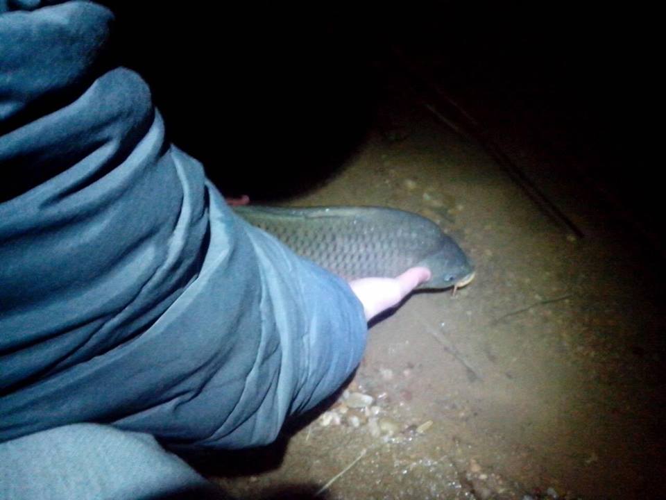 12592769_190701971290033_7642565353916988299_n