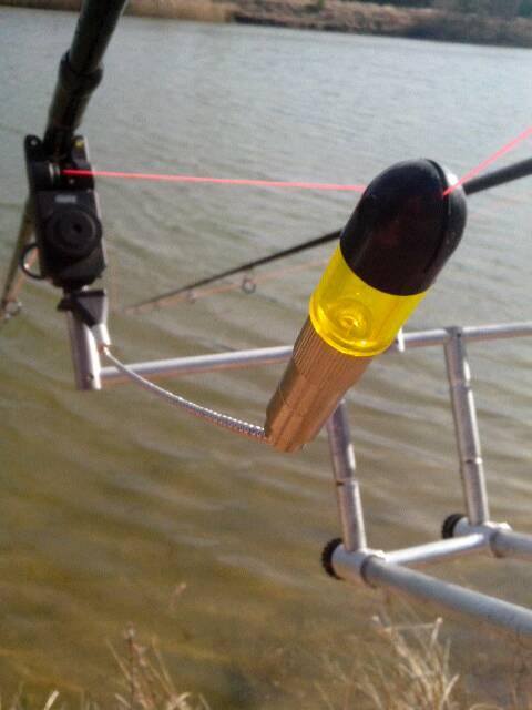 12662668_191203554573208_8340663585970123338_n