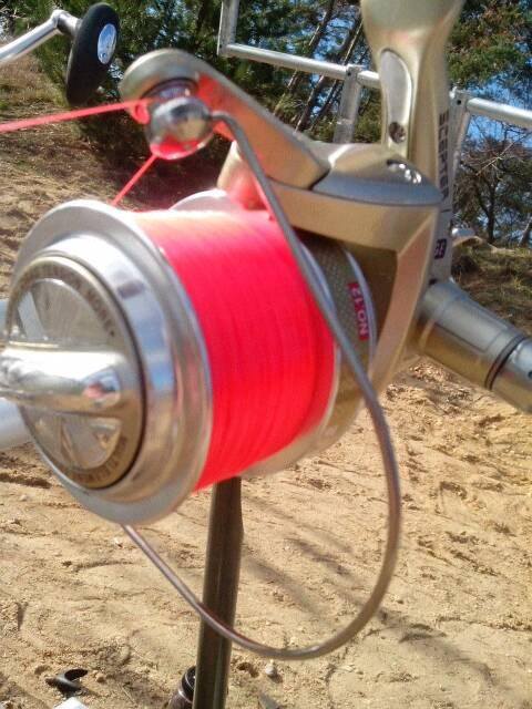 12728914_191203587906538_7140028685787978369_n