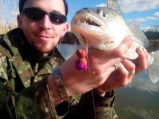 943958_191203717906525_8167778531827607337_n