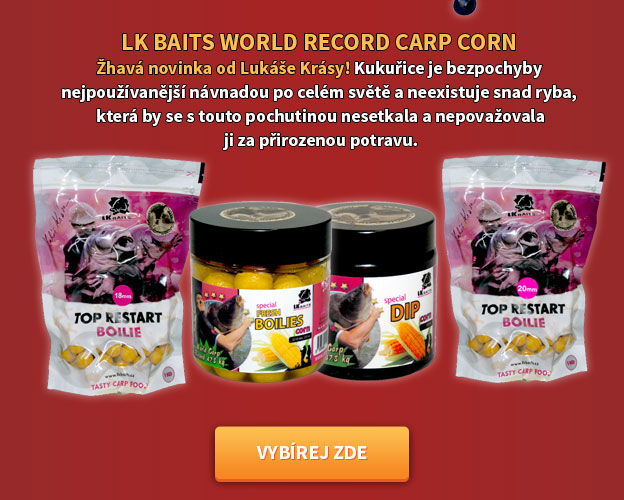 world record carp corn
