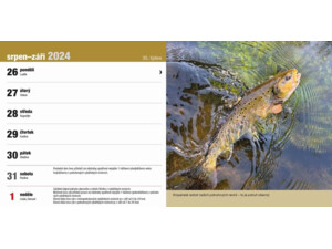Stolní rybářský kalendář na rok 2024 VÝPRODEJ