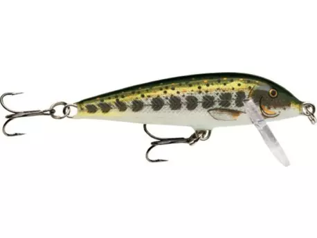RAPALA Count Down Sinking 07 MD