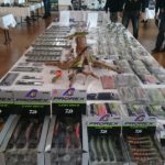 14650467_1147916058628459_728784593051014153_n