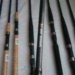 14657469_1147902555296476_6309174799782605292_n