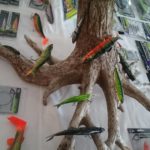 14666105_1147916138628451_4839131412042755495_n