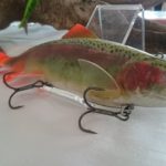 14670870_1147916128628452_5310216597004314957_n