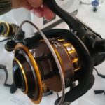 14670880_1147902438629821_7262331444983378598_n