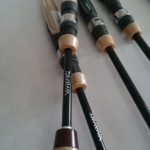 14680774_1147926871960711_2963170590533842790_n