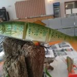 14713712_1147916338628431_4226380173311139314_n