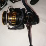 14716246_1147902325296499_864878775006579375_n