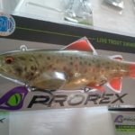 14720506_1147916351961763_351612622994272579_n