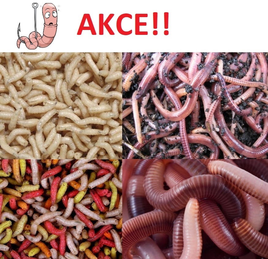 Akční menu, kterým se necháte zlákat. - Není nad návnadu, která se kroutí na háčku!