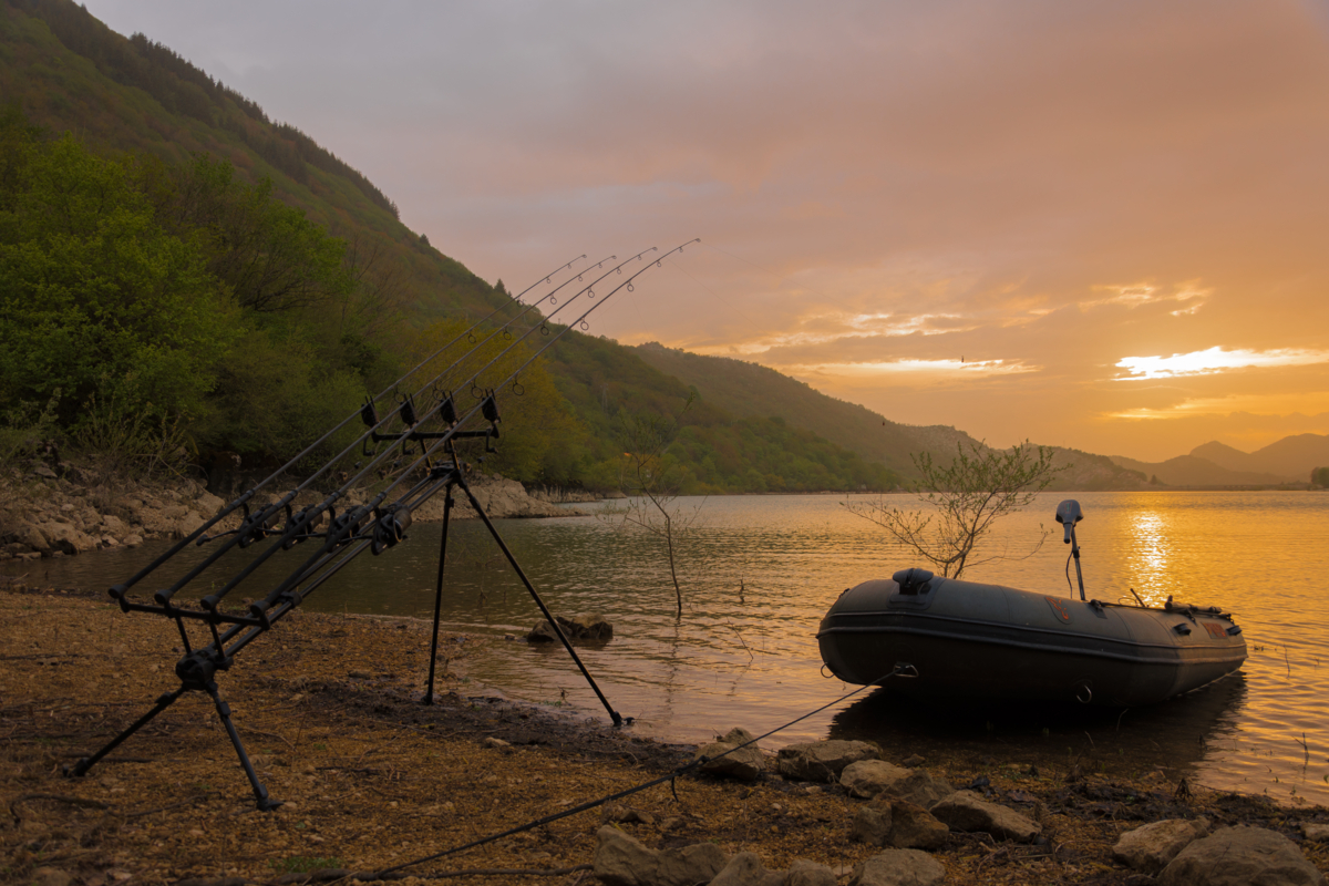 FOX akční nabídka!