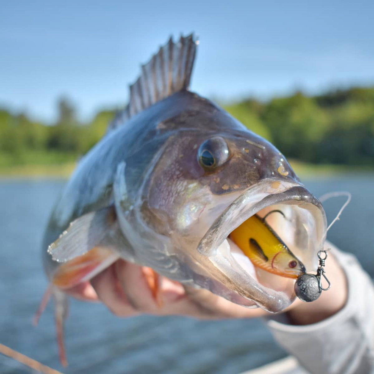 Vláčecí nástrahy Westin - různé typy, velikosti, barvy...