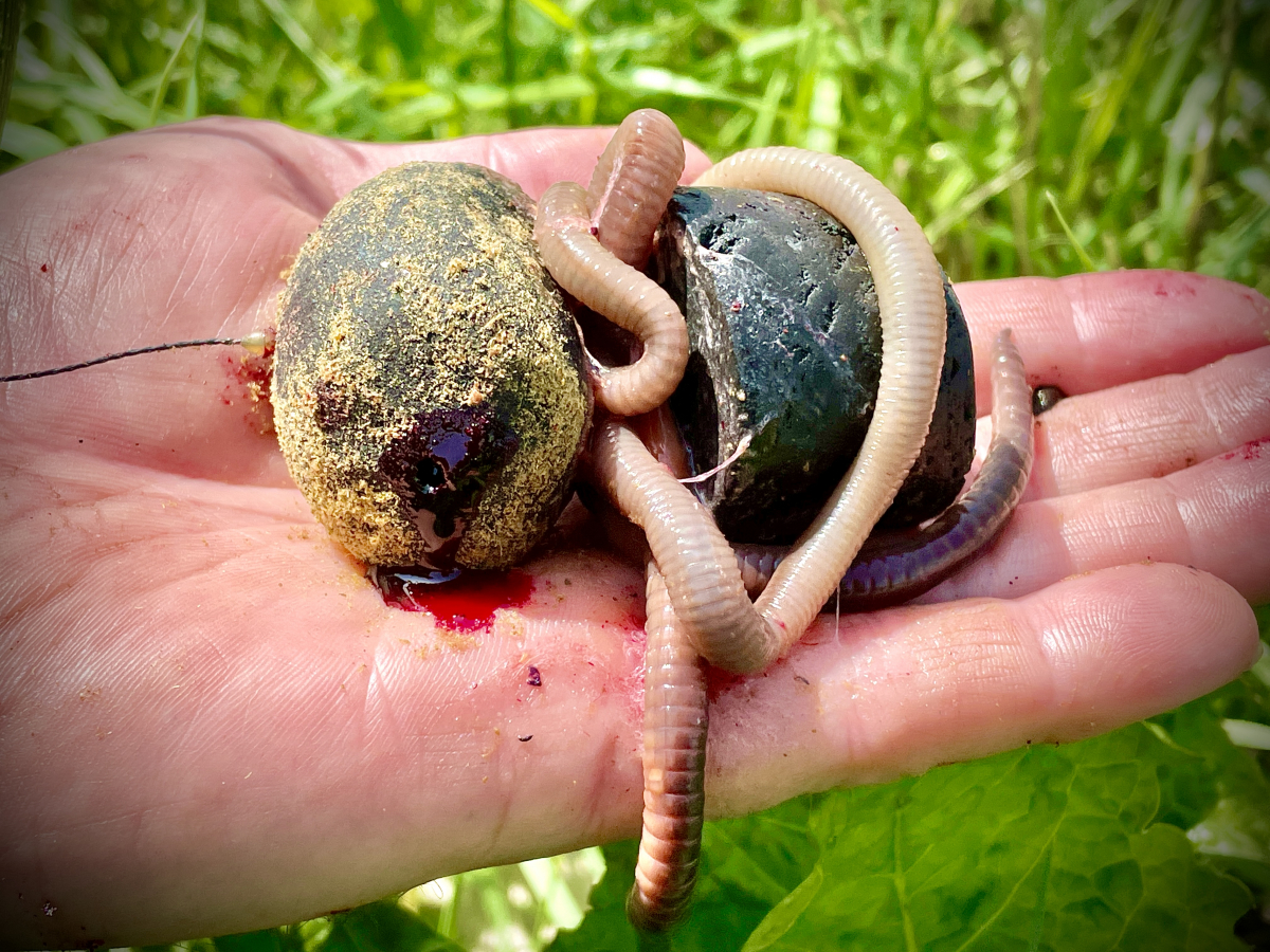 NOVINKA 2021 LK BAITS