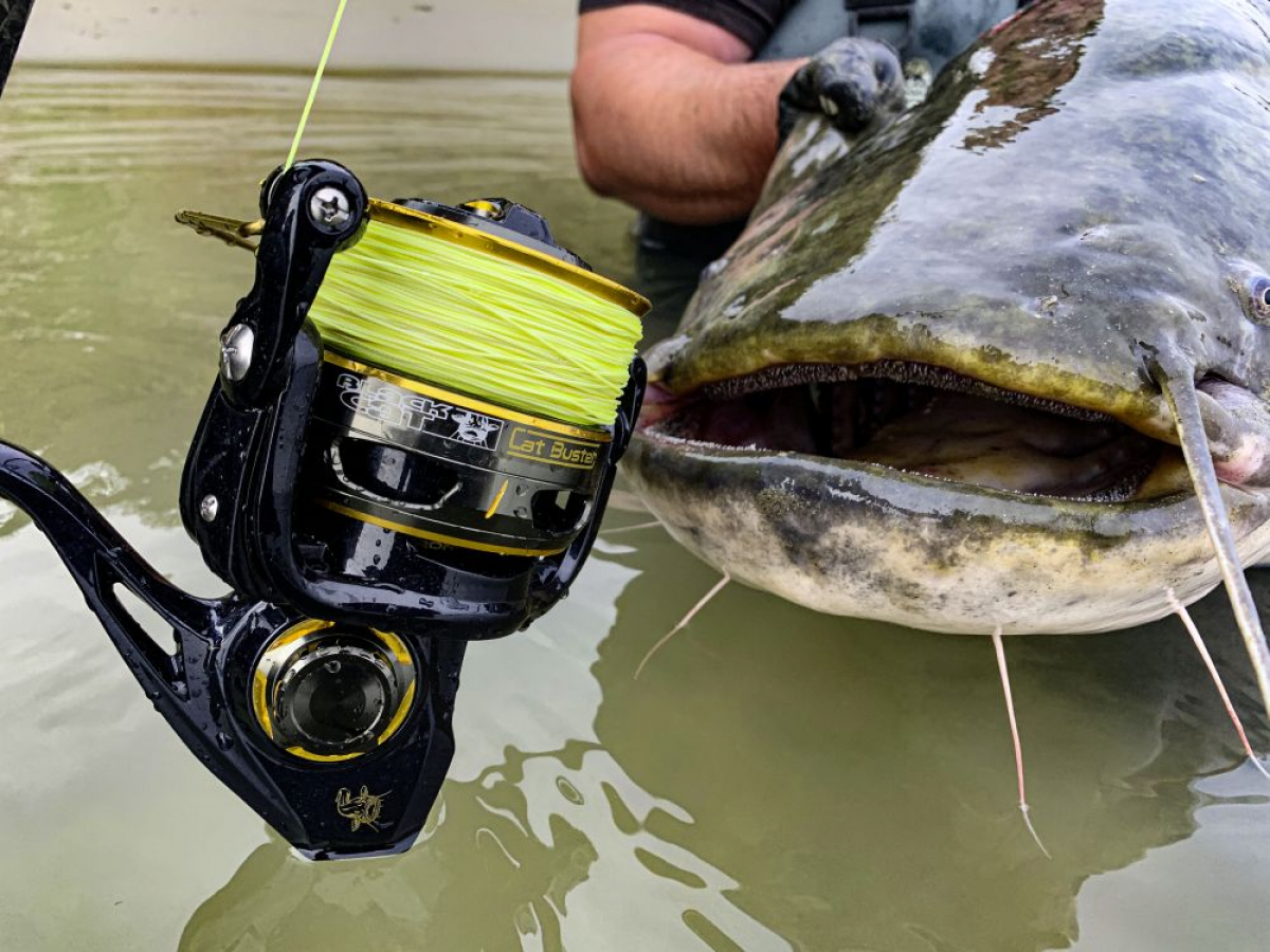 Nekompromisní speciál pro lov sumců! BLACK CAT BUSTER SPIN FD!