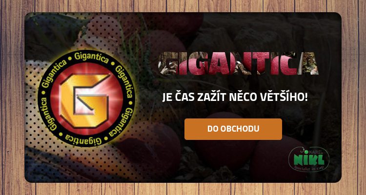 Nástrahy a návnady pro rybaření