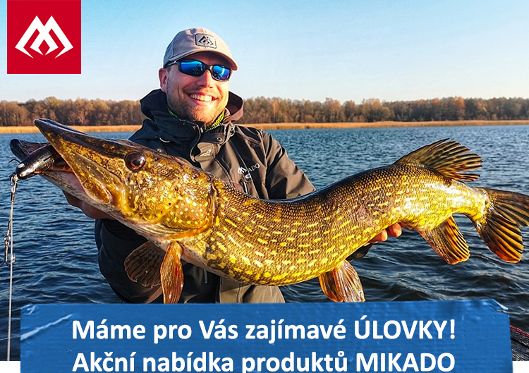 Inazuma Pro Perch je klasický okounový prut s uhlíkovou chvějivou špičkou. Rychlá akce spolu s velkou zásobou síly v rukojeti, vám dovolí zvládnout každou situaci. Celek doplňují očka Seaguide a sedlo navijáku Fuji TVS. Další info