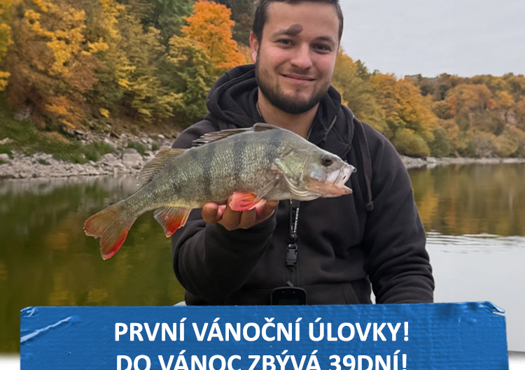 DÁRKY, Outdoor, doplňky - 