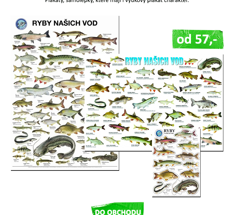 Speciální velké vánoční dárkové balení přímo pod stromeček. Uvnitř naleznete 17ks nebo 10ks našich lahodných jerek, které jsou podestlány dřevitou vlnou. Vložená je děkovná kartička s podpisem a celé je to zatavené do čiré fólie. Ideální dárek pro masožravce a ty, kteří ví co jí:-)