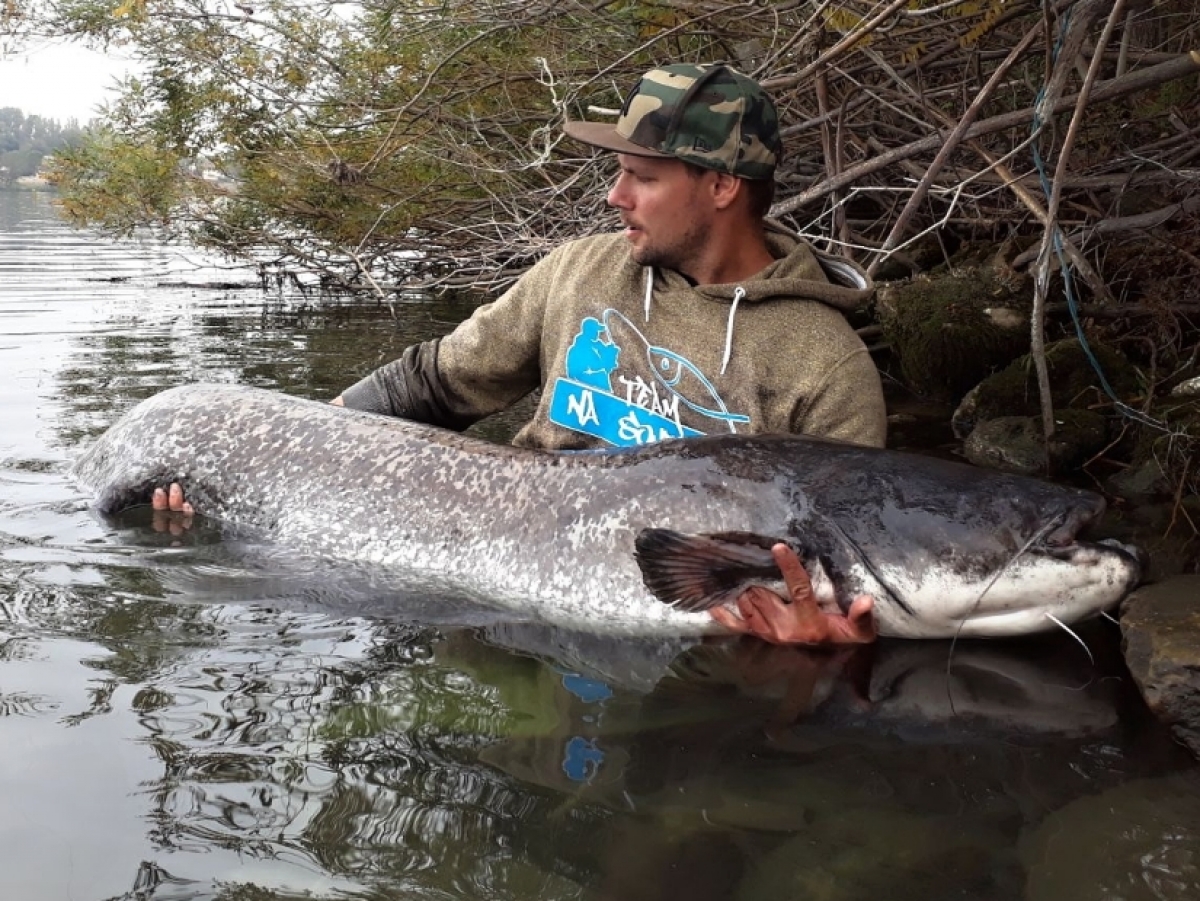 Bonjour, aneb za SUMCI do Francie