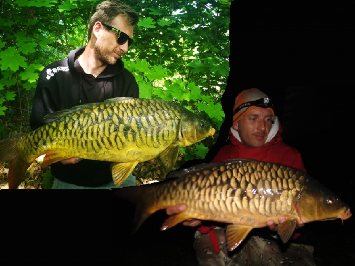 Shledání po 2 a půl roce