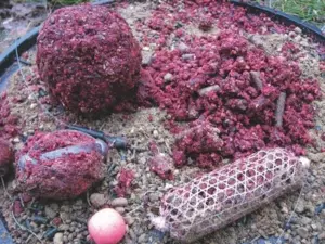 MIKBAITS Rocket Spod mix Ořechový Hurikán