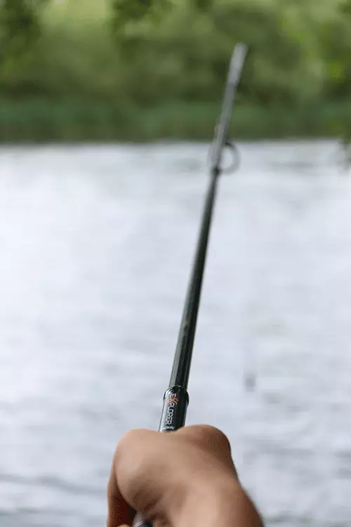 FOX Prut EXPLORER RODS VÝPRODEJ