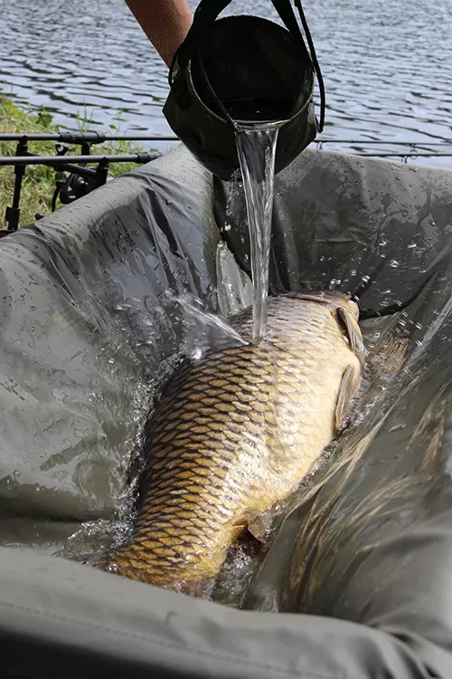 FOX Podložka CARPMASTER CRADLES AKCE