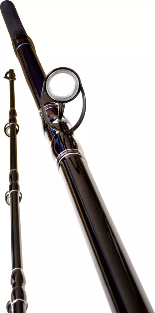 BLACK CAT Buster Multistyle 2,90m 300g-600g