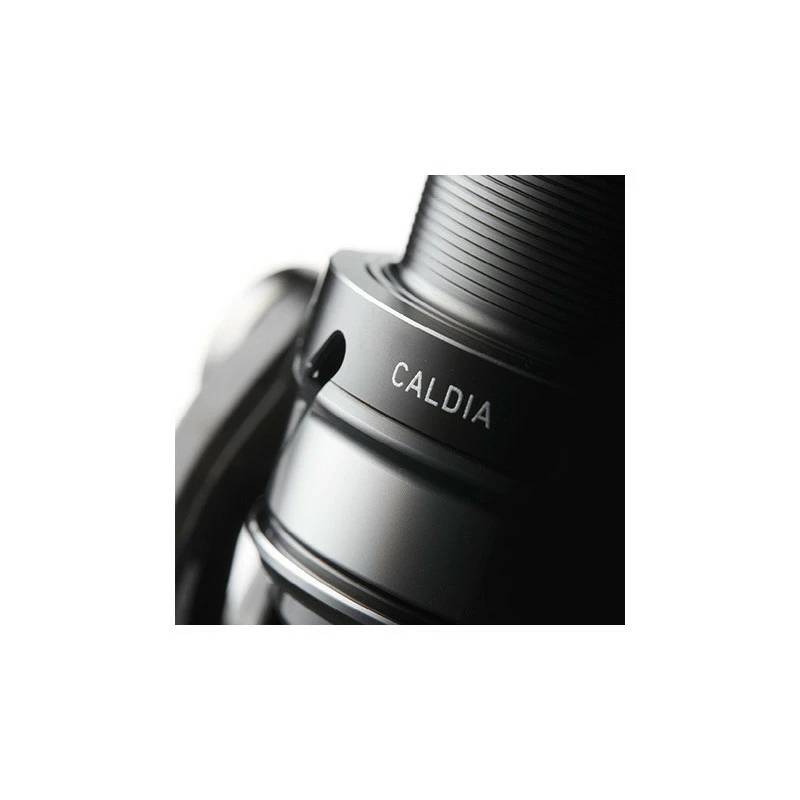 DAIWA Naviják CALDIA LT
