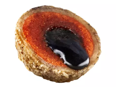 LK Baits Nutrigo Plankton 800g