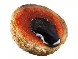LK Baits Nutrigo Plankton 800g