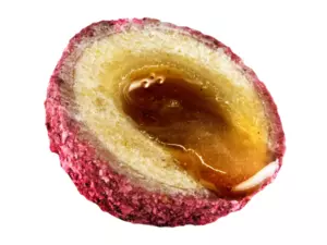 LK Baits Nutrigo Plumberry 800g