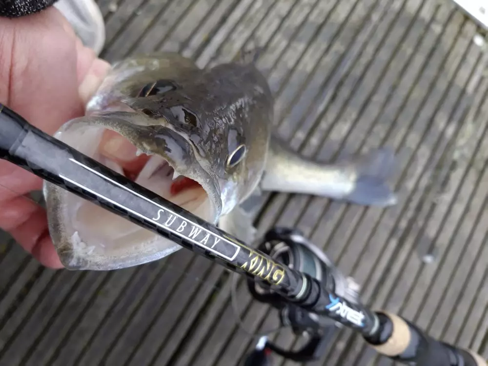 QUANTUM 4STREET Subway King 2,40m 7-35g VÝPRODEJ