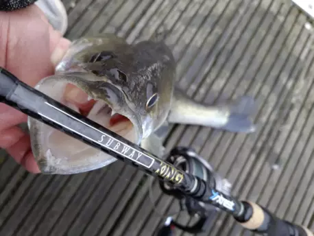 QUANTUM 4STREET Subway King 2,40m 7-35g VÝPRODEJ