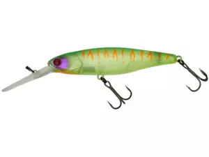 LIME CHART TIGER