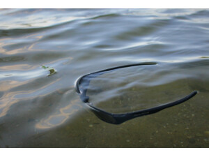 Giants Fishing Polarizační brýle Polarized Glasses Deluxe 2