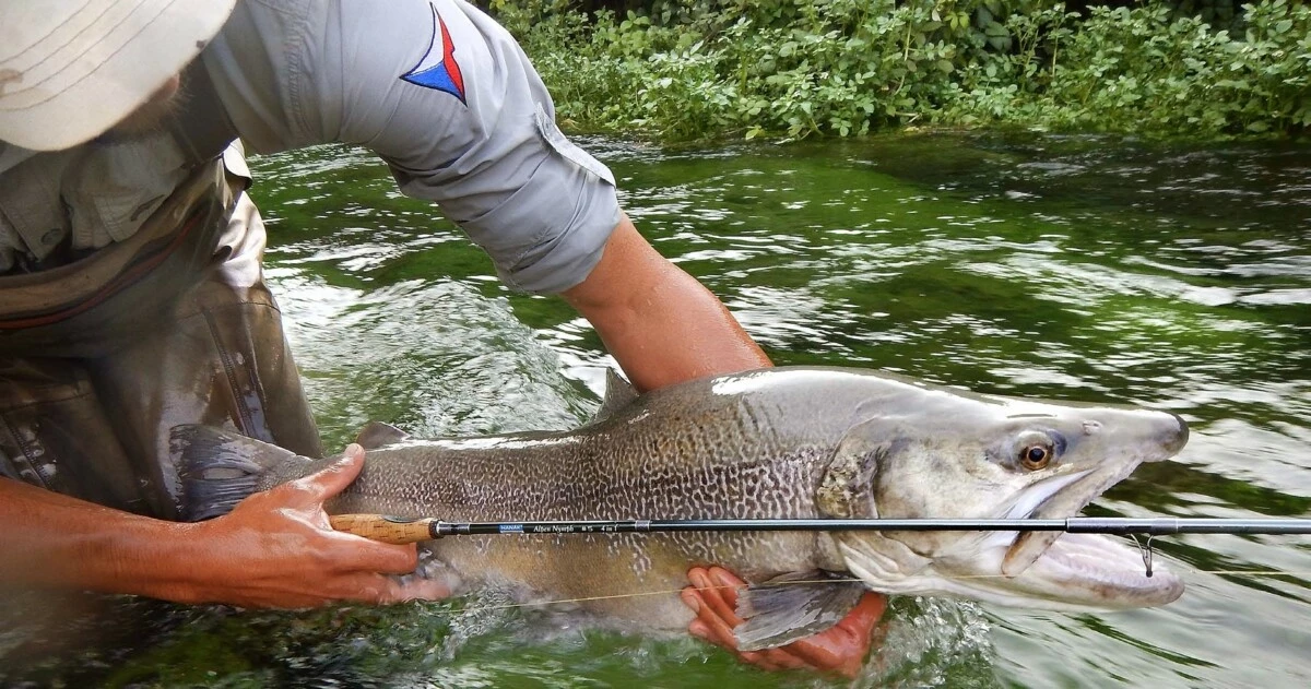 HANÁK Competition Alpen Nymph 4v1 290 / 305 / 320 / 335 cm # 5 VÝPRODEJ