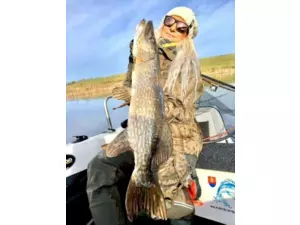 Geoff Anderson - DOZER 6 + Urus 6 maskáč