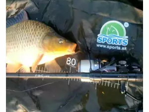 SPORTEX prut FBC Carp - Dvoudílný