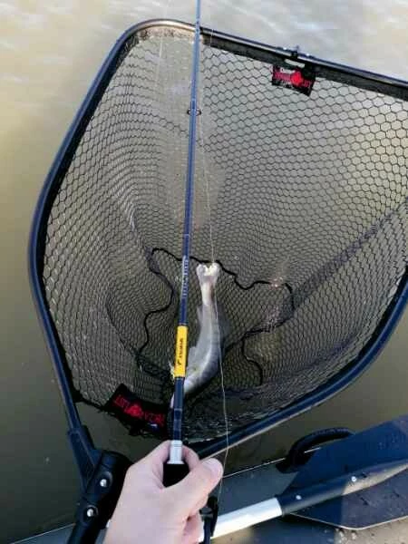 SPORTEX přívlačový prut Black Pearl GT-3 2-díl