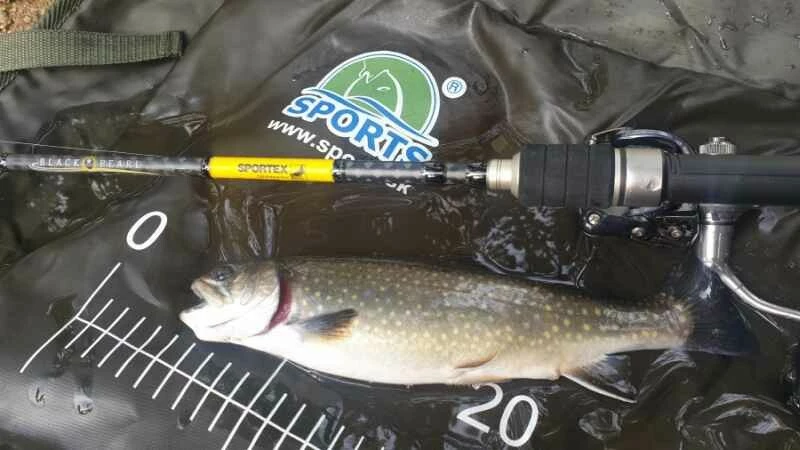 SPORTEX přívlačový prut Black Pearl GT-3 2-díl